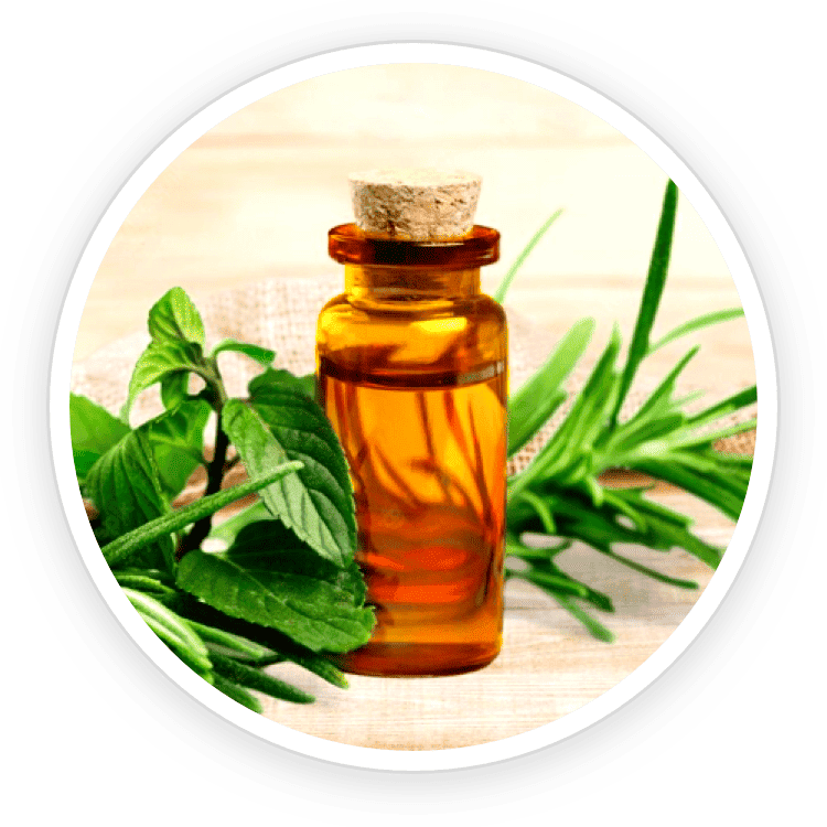 Tea tree oil