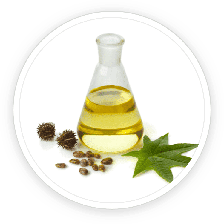 Undecylenic acid